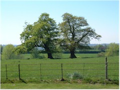 Picture a sunny day in Constable's Country...