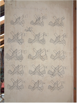 The molecology tally board - the early days!